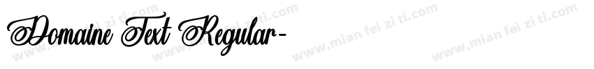 Domaine Text Regular字体转换